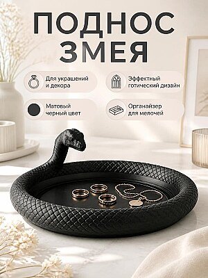 Декоративный поднос Змея для украшений и декора 1