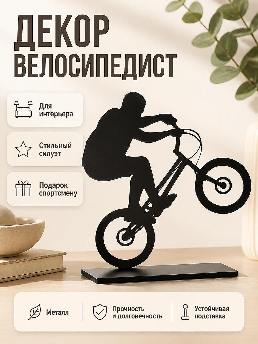 Настенный декор Велосипедист триал