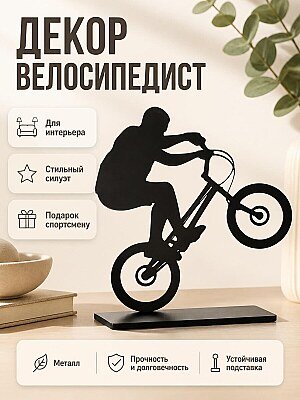 Настенный декор Велосипедист триал 1