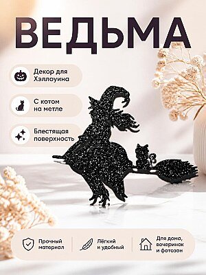 Декор Ведьма на метле с котом 1