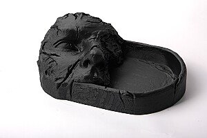 Декоративный лоток Fossil Face 4