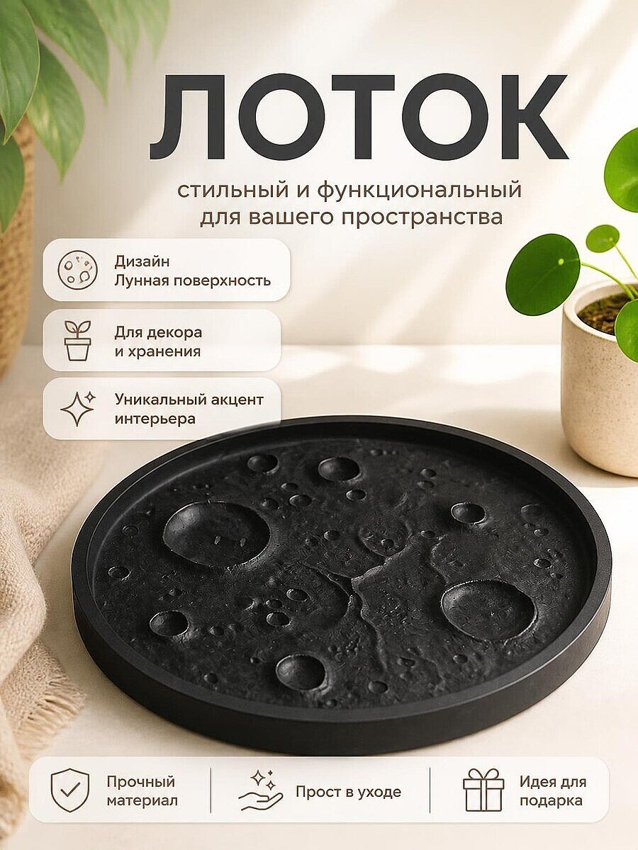 Декоративный лоток Лунная поверхность