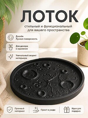 Декоративный лоток Лунная поверхность 1