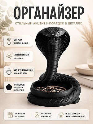 Декоративный лоток-органайзер Черная кобра 1