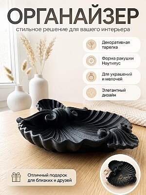 Декоративная тарелка-органайзер Ракушка Наутилус 1