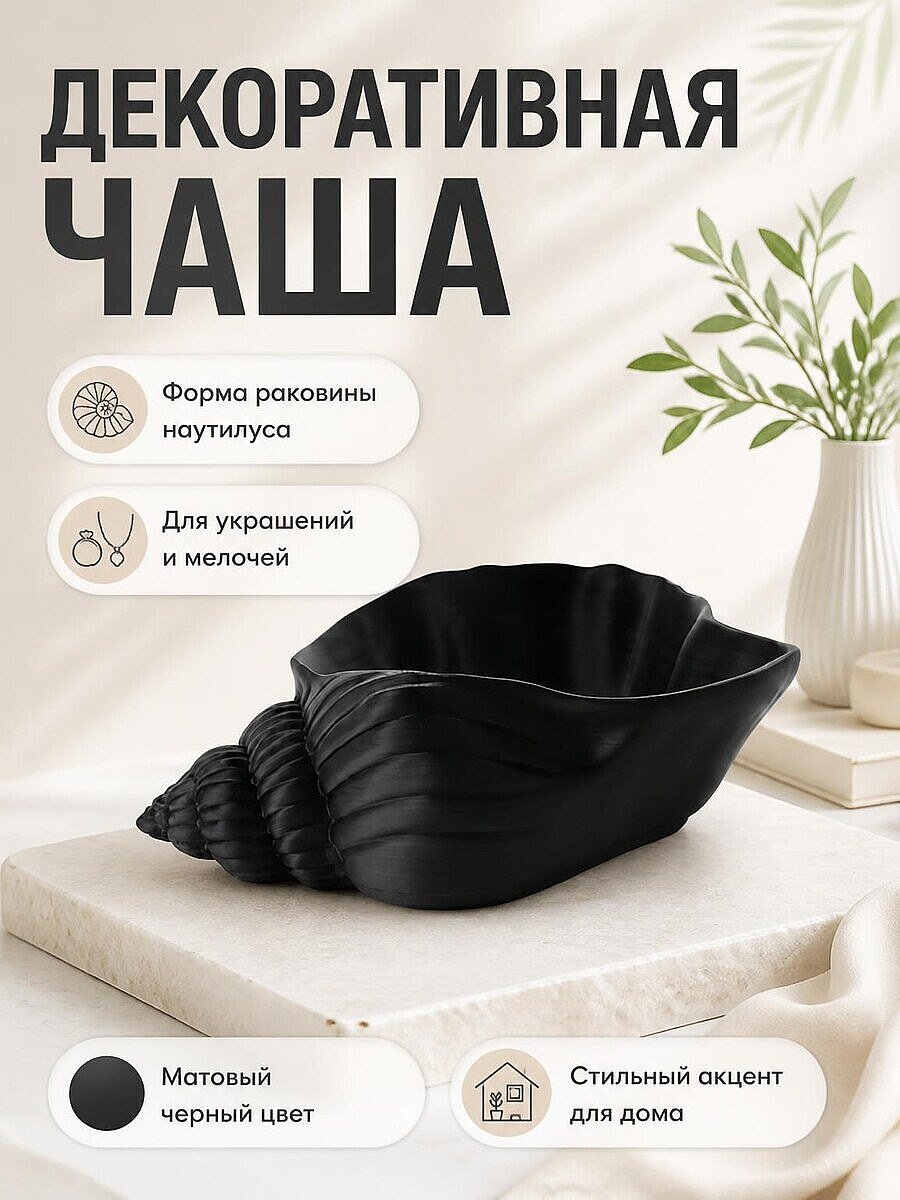 Декоративная чаша Раковина Наутилус