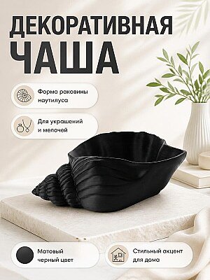 Декоративная чаша Раковина Наутилус 1