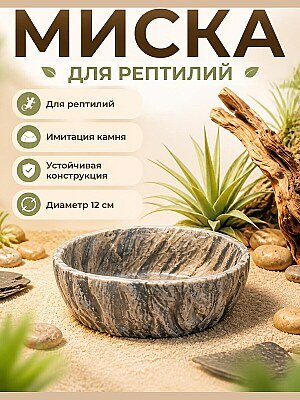 Миска для террариума под камень 1