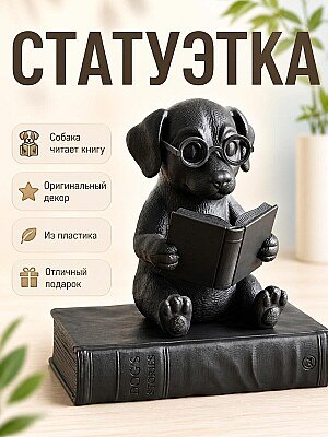 Статуэтка Собака читает книгу 1