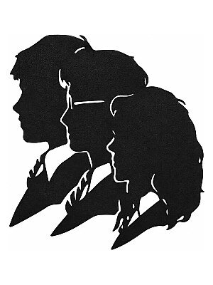 Настенный декор Harry Potter: Гарри, Рон и Гермиона 2