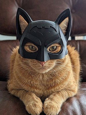 Маска Бэтмена для кота 2