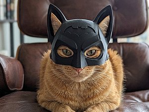 Маска Бэтмена для кота 3