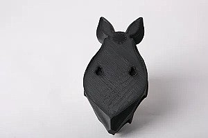 Настенная ваза для сухоцветов Летучая мышь 5