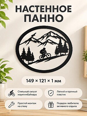 Настенное панно Горный велосипедист 1