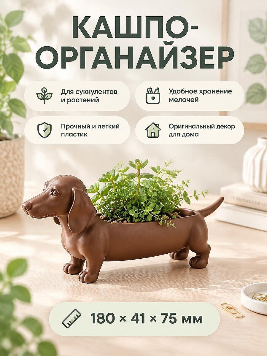 Кашпо для суккулентов и органайзер Такса